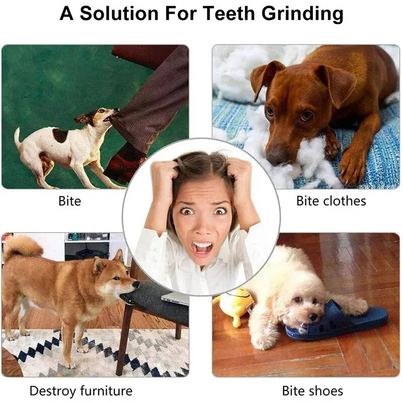 LumaChew™ Treat Ball