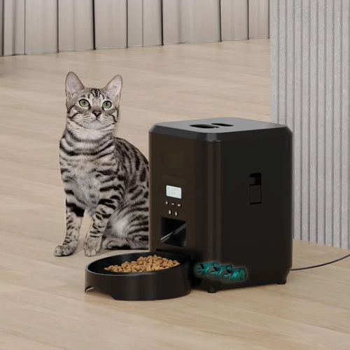 LumaFeed™ Smart Feeder