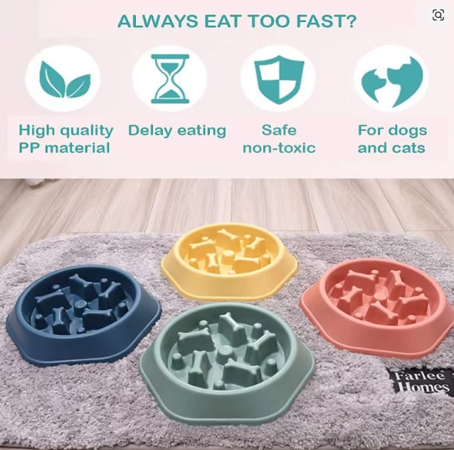 LumaBowl™ Slow Feeder